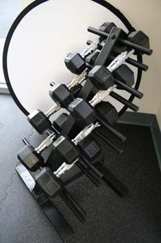 dumbellSngl317