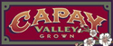 capay valley logo